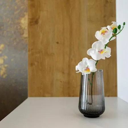 Central - Great Location - Cozy And Bright - Kw46 弗罗茨瓦夫